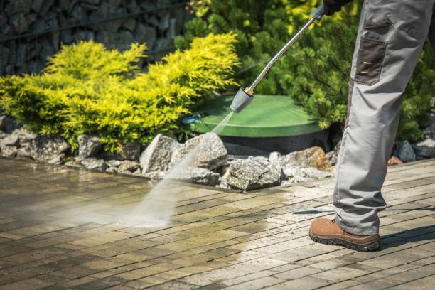 Best Sidewalk and Walkway Cleaning  in Franklin Park, FL