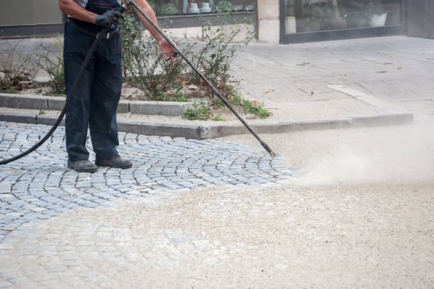 Best Winterizing Services  in Franklin Park, FL