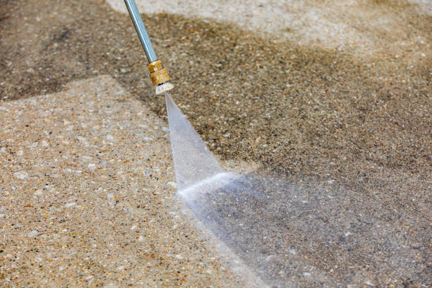 Best Soft Washing  in Franklin Park, FL
