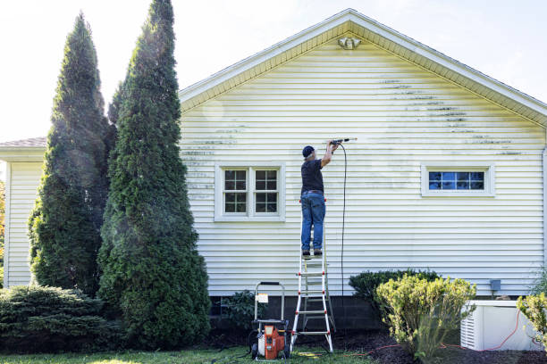 Best Graffiti Removal  in Franklin Park, FL