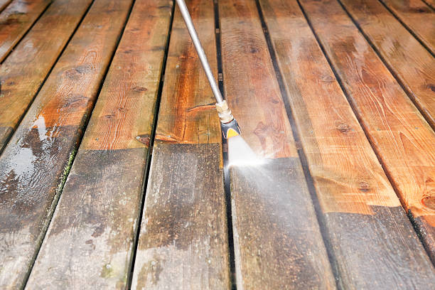 Best Building Exterior Washing  in Franklin Park, FL